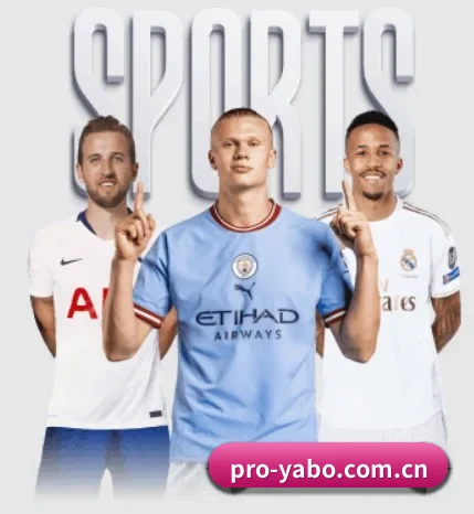 pro-yabo.com.cn APP
